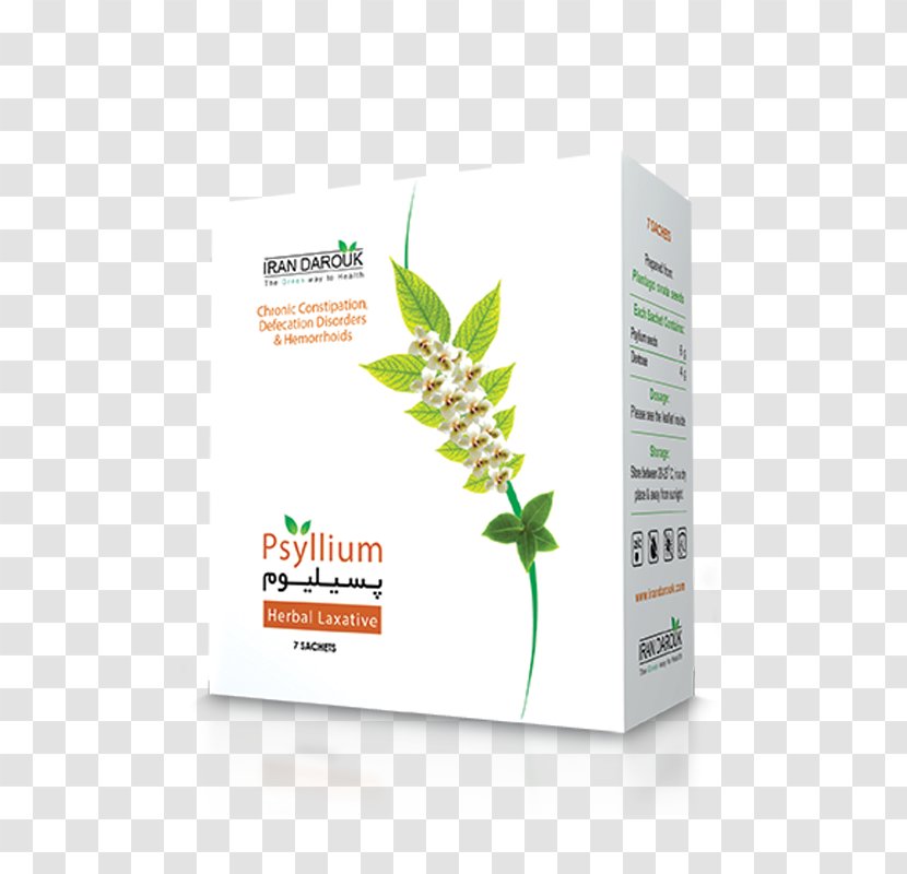 Psyllium Sand Plantain Human Digestive System Drug Dietary Fiber - Capsule - Husk Transparent PNG
