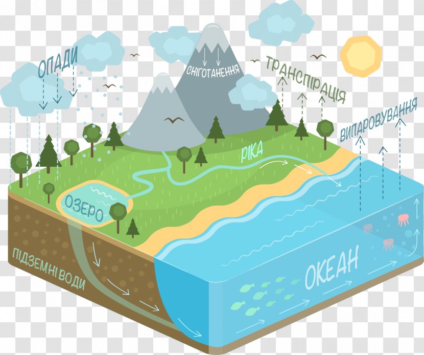 Water Cycle Diagram Condensation - Resources Transparent PNG