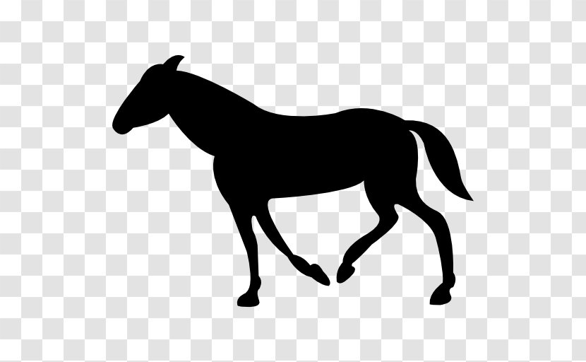 Horse Royalty-free - Mane - Walking Transparent PNG