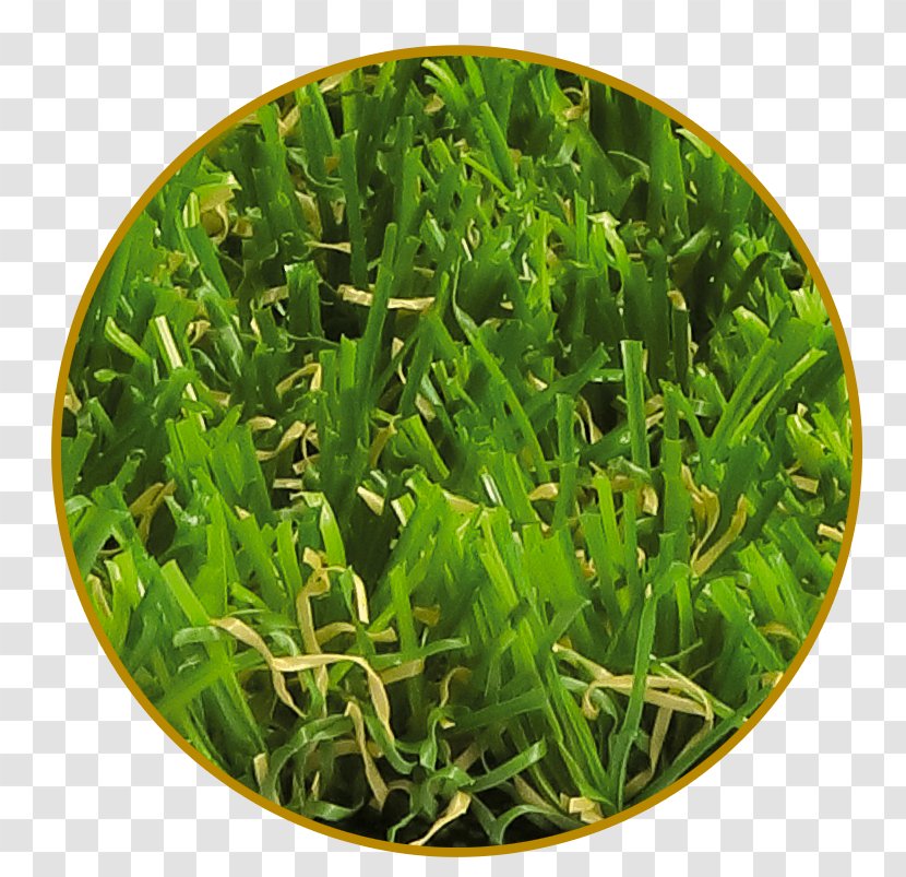 Artificial Turf Garden Lawn Meadow Vegetarian Cuisine - Food - Green Landscape Transparent PNG