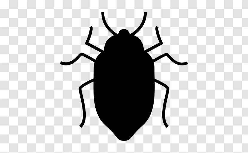 Cockroach Insect Pest Control Illawarra - Invertebrate - Bug Transparent PNG