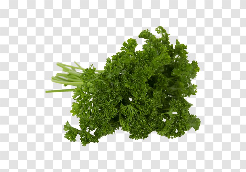 Parsley Frikadeller Meatloaf Persille De Rambouillet Banny Venik - Vegetable - Persil Transparent PNG