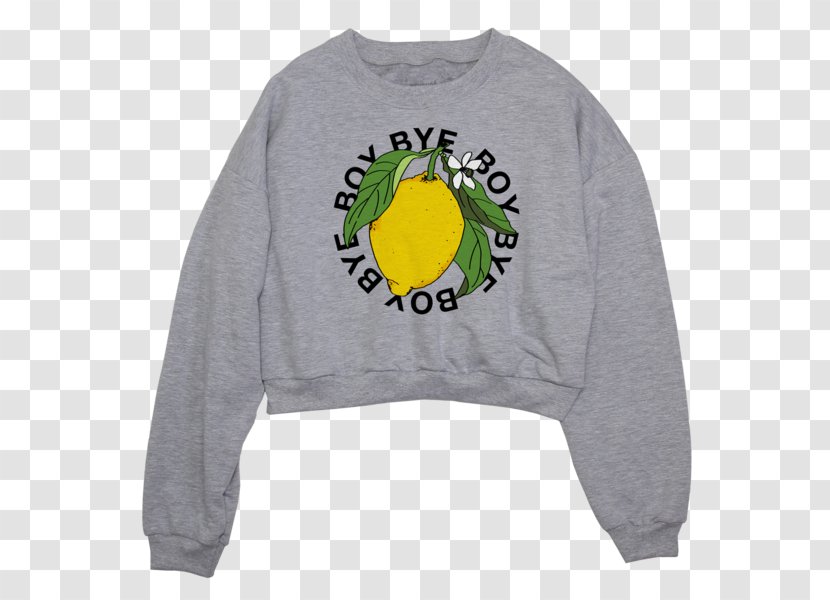 T-shirt Lemonade The Formation World Tour Merchandising Sorry - Watercolor Transparent PNG