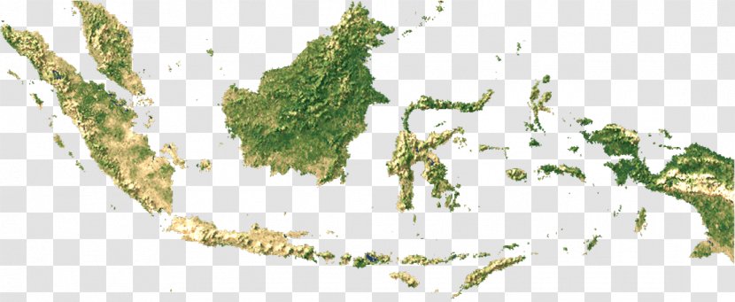 Map Indonesia ArcView Shapefile Geographic Information System - Leaf Transparent PNG