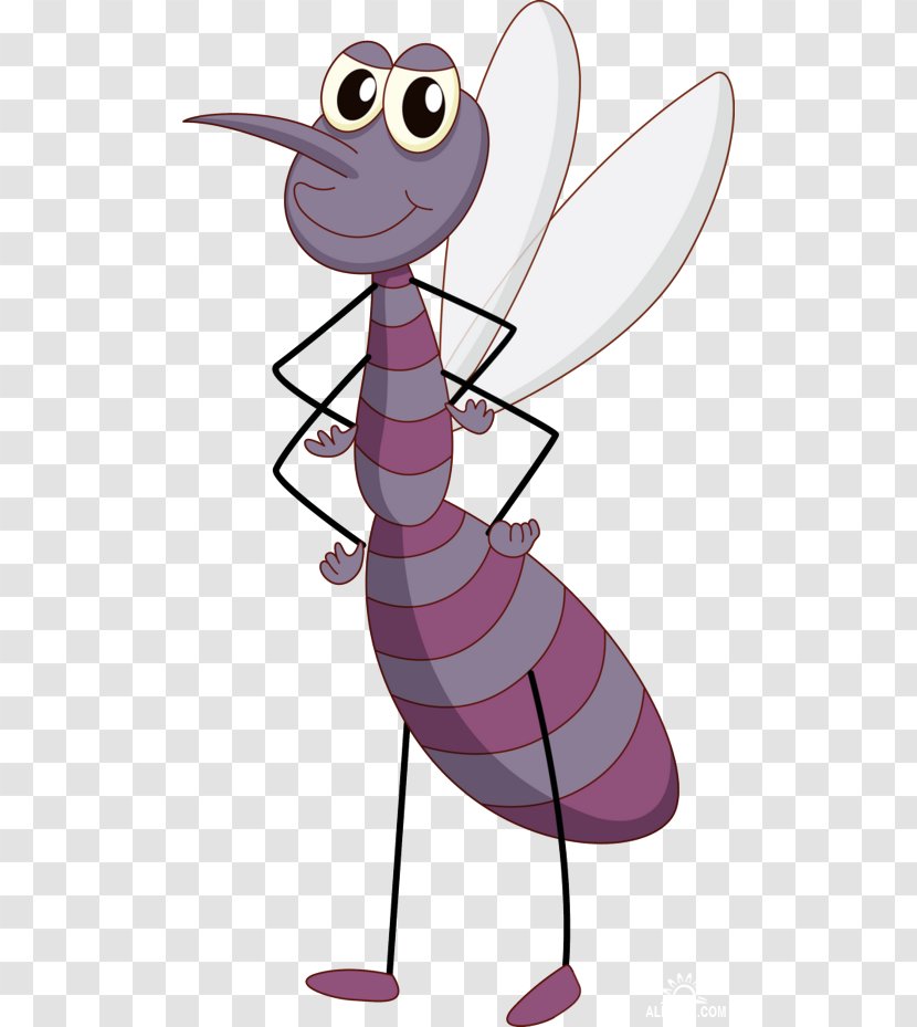 Insect Drawing Clip Art - Cartoon Transparent PNG