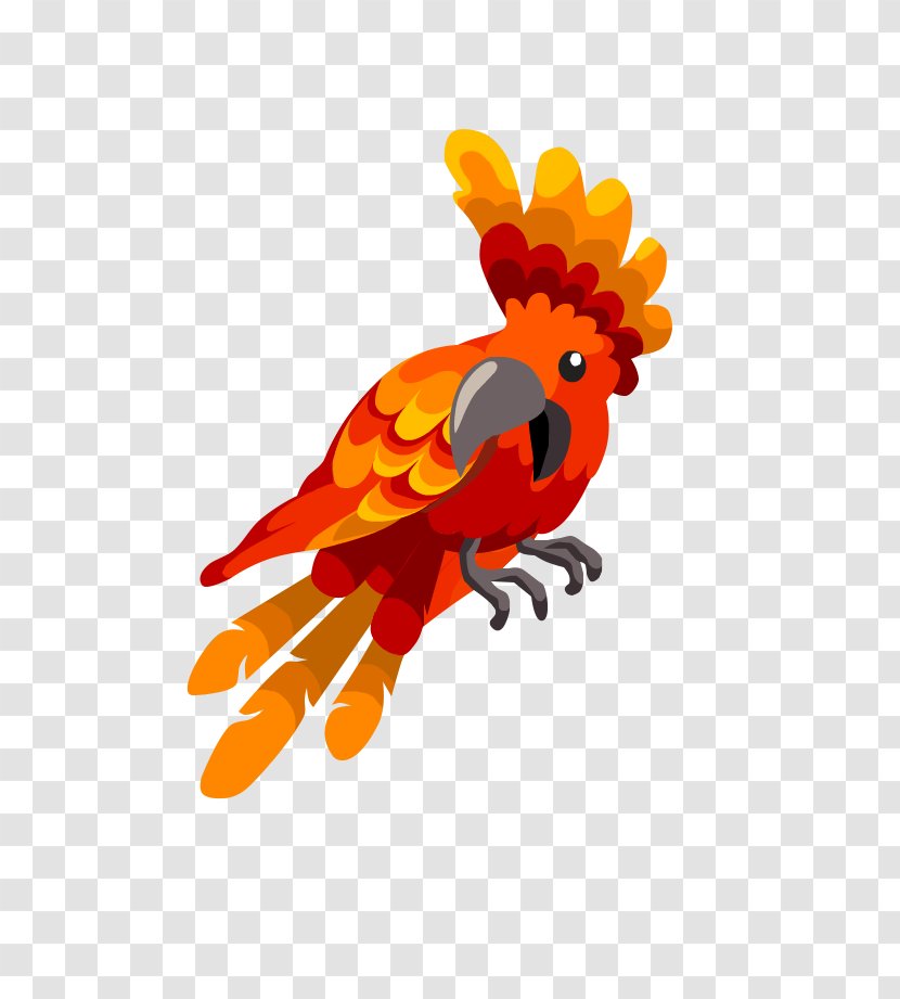 Chicken Bird Pollinator Clip Art - Invertebrate Transparent PNG