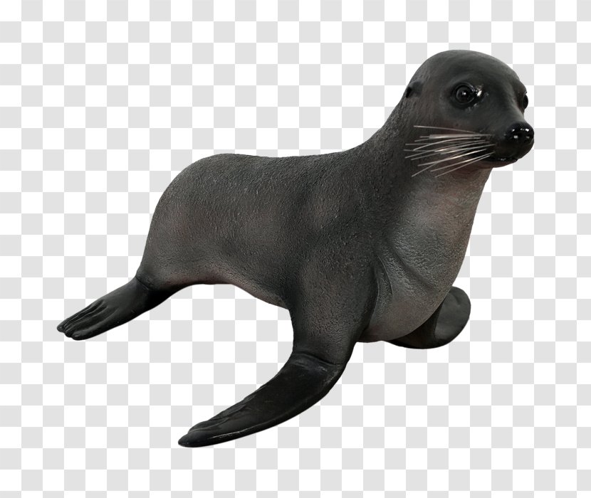 Sea Lion Natureworks Australia - Aquatic Animal - Fibreglass Sculptures Statue Fur SealThe Seal Transparent PNG