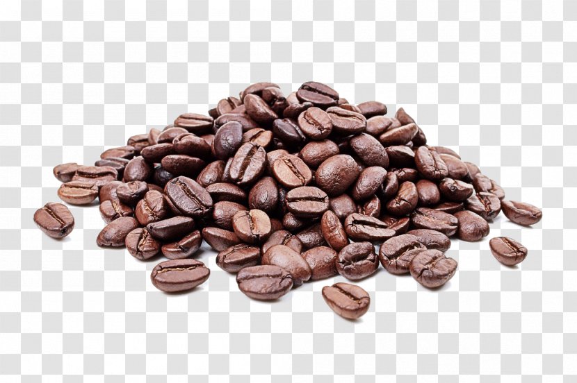 Food Bean Cocoa Java Coffee Jamaican Blue Mountain - Seed - Ingredient Caffeine Transparent PNG