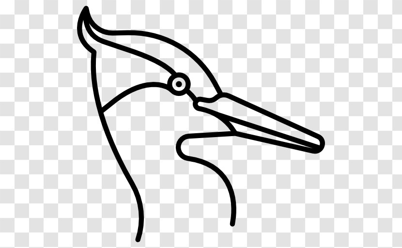 Bird - Line Art Transparent PNG