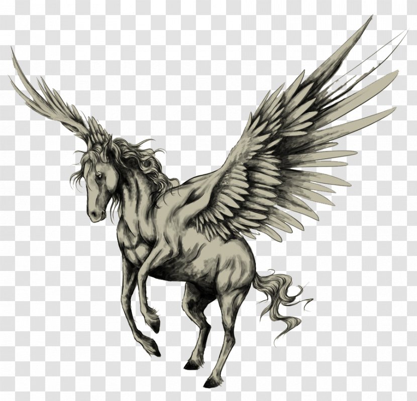 Tattoo Pegasus Drawing Horse Sketch - Mustang Transparent PNG