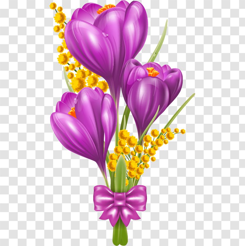 Crocus Vernus Early Snow Clip Art - Flower Transparent PNG