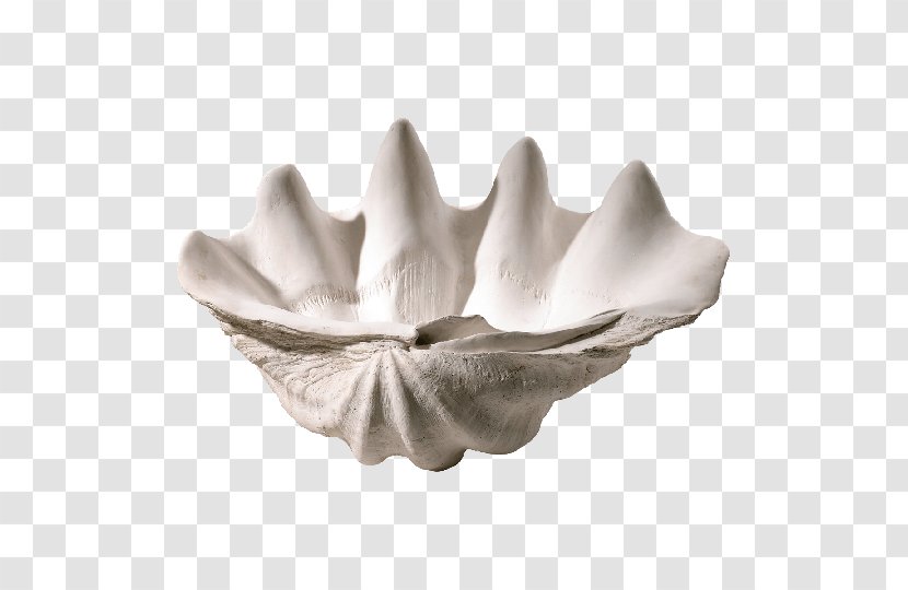 Giant Clam Bowl Seashell Oyster - Petal Transparent PNG