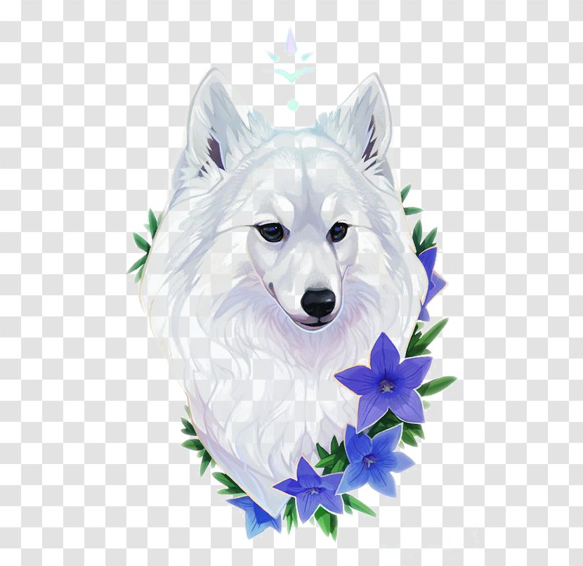 American Eskimo Dog Samoyed Canadian Gray Wolf Illustration - Pet Transparent PNG