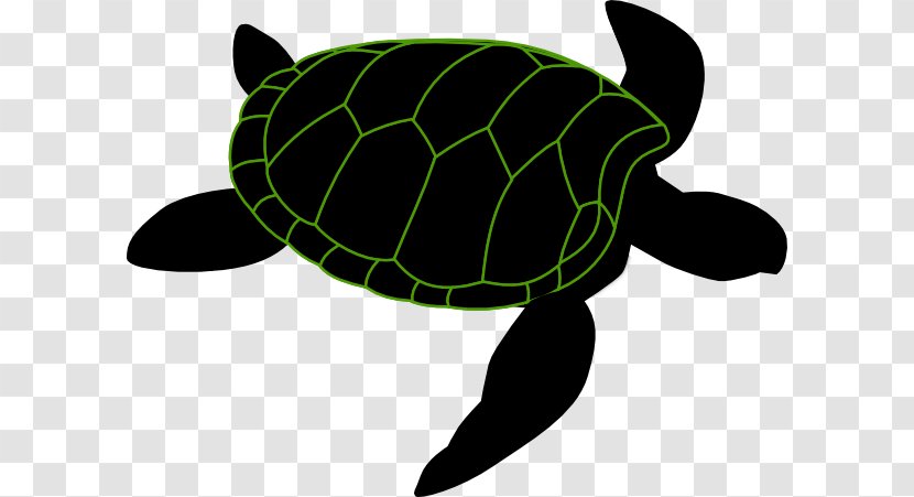 Green Sea Turtle Clip Art - Terrestrial Animal Transparent PNG