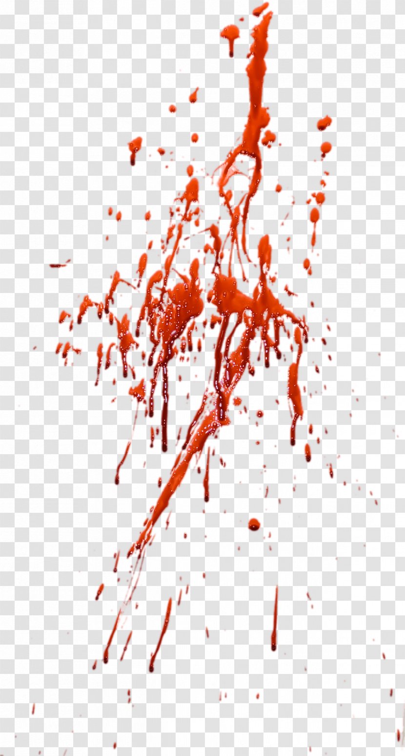 Blood Residue Red - Heart - Image Transparent PNG