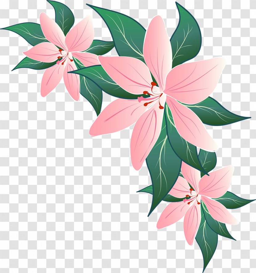 Flower Lily Petal Floral Design Image - Flowering Plant Transparent PNG