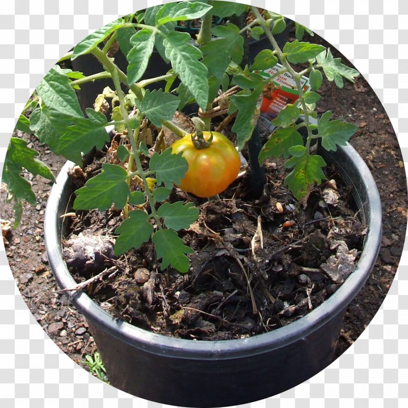 Herb Soil Flowerpot - Organic Trash Transparent PNG