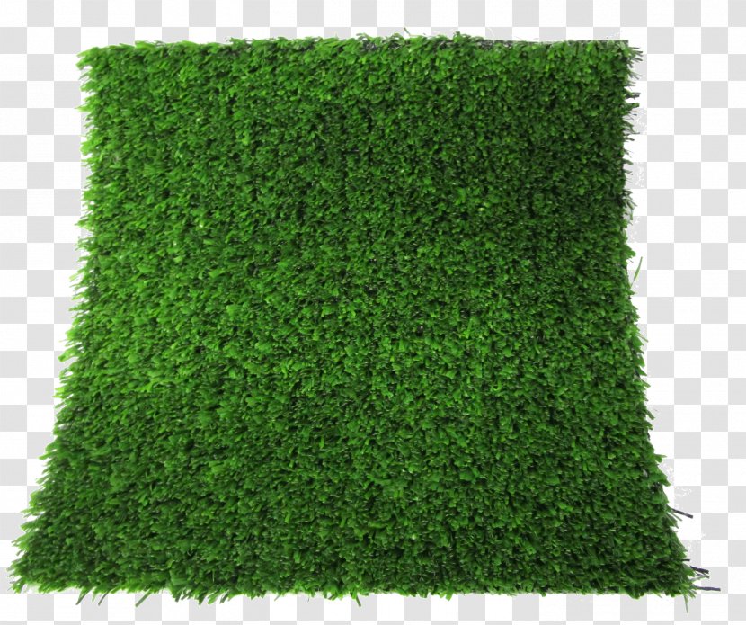 Artificial Turf Lawn Thatch Carpet Green - Lime - Grass Transparent PNG