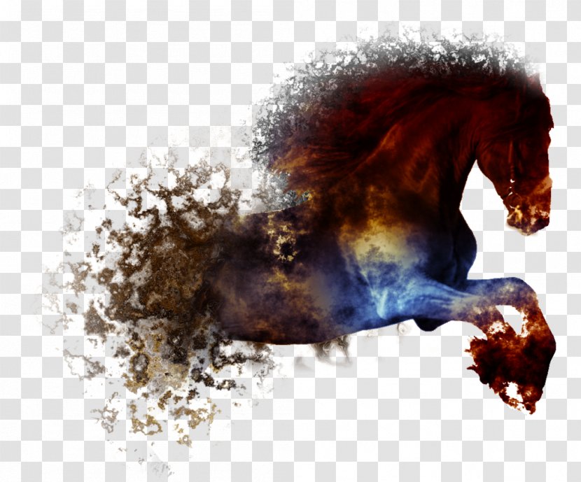 American Paint Horse Abstract Art Painting Horseshoe Drawing - Stallion - Background Transparent PNG
