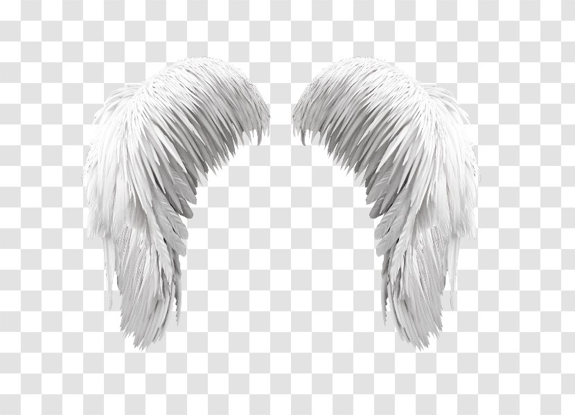 Wing Ma Liberté Feather - Symbol - Angel Wings Icon Transparent PNG