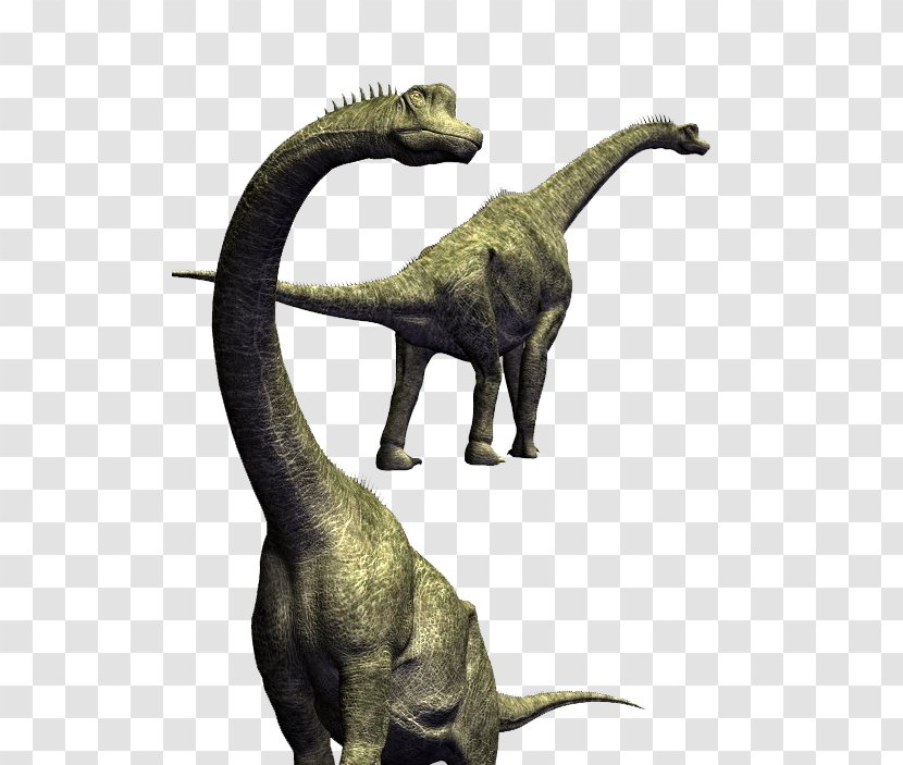 Brachiosaurus Velociraptor Tyrannosaurus Giraffatitan Parksosaurus - Late Jurassic - Dino Transparent PNG
