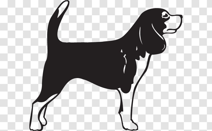 Beagle German Shorthaired Pointer Bullmastiff English Mastiff Puppy - Decal Transparent PNG