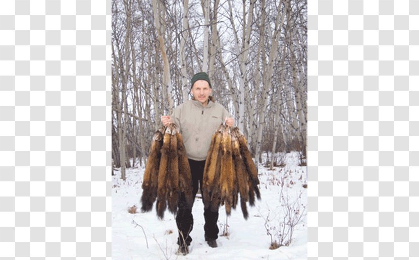 Grizzly Creek Lodge Trapline Trapping Fur Fishing - Freezing - Trappings Transparent PNG