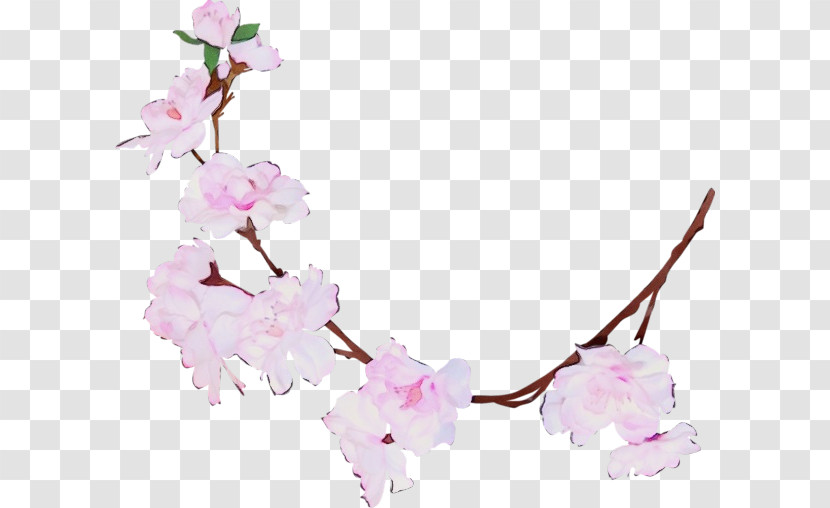 Cherry Blossom Transparent PNG