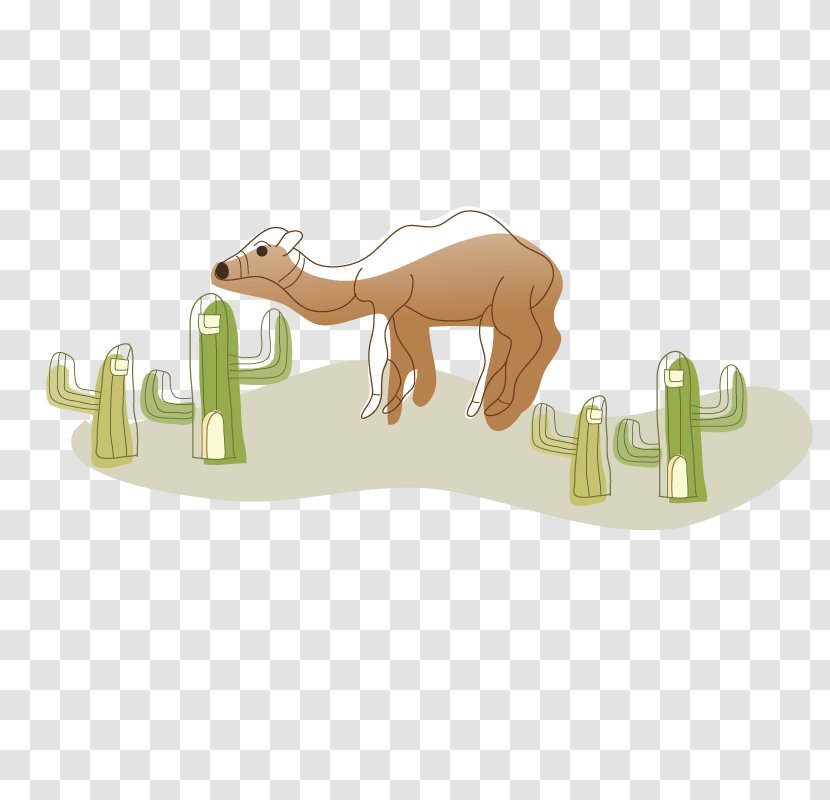 Camel Drawing Illustration - Hand - Desert Transparent PNG