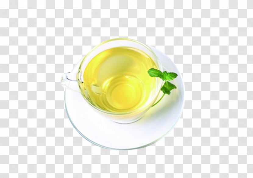 Green Tea Coffeemaker - Cup - Mint Transparent PNG