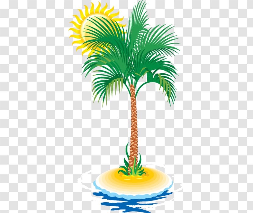 Arecaceae Tree Tropics Date Palm - Coconut Transparent PNG