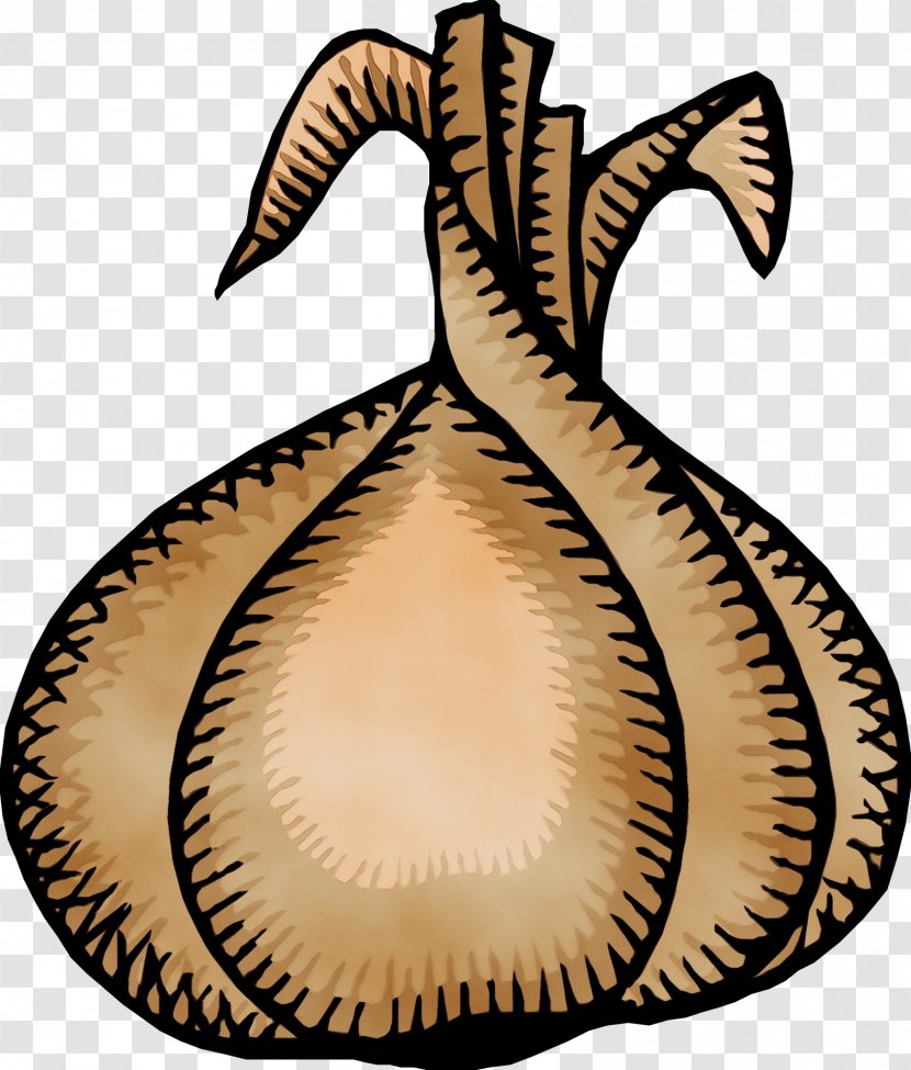 Plant Nepenthes - Wet Ink Transparent PNG