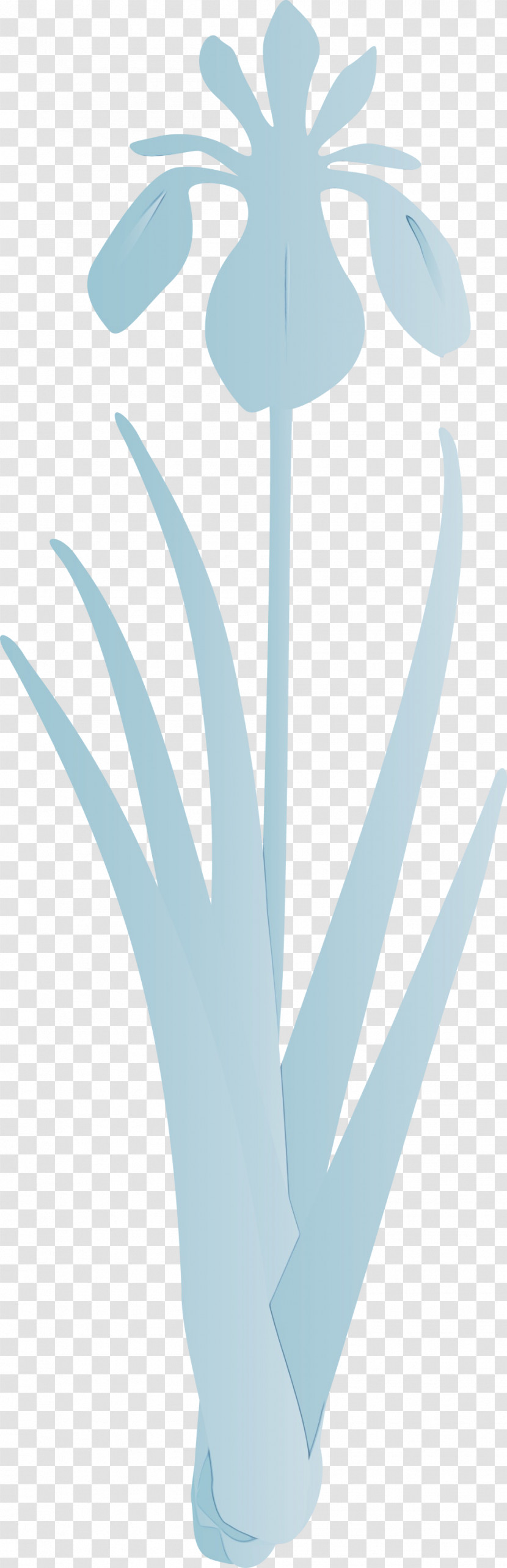 Turquoise Leaf Aqua Plant Flower Transparent PNG