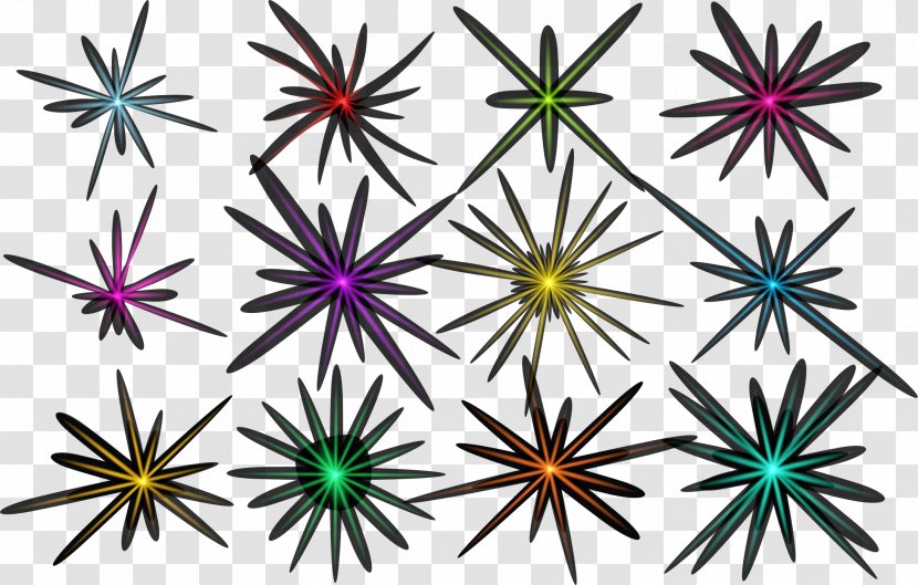 Euclidean Vector Adobe Illustrator - Color - Hand Colored Stars Transparent PNG