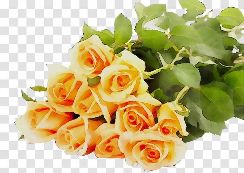 Garden Roses Flower Bouquet Floral Design Cut Flowers - Hybrid Tea Rose Transparent PNG