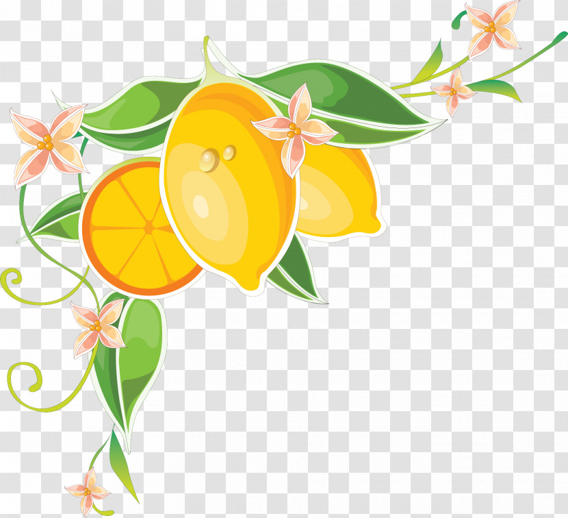 Floral Design Transparent PNG