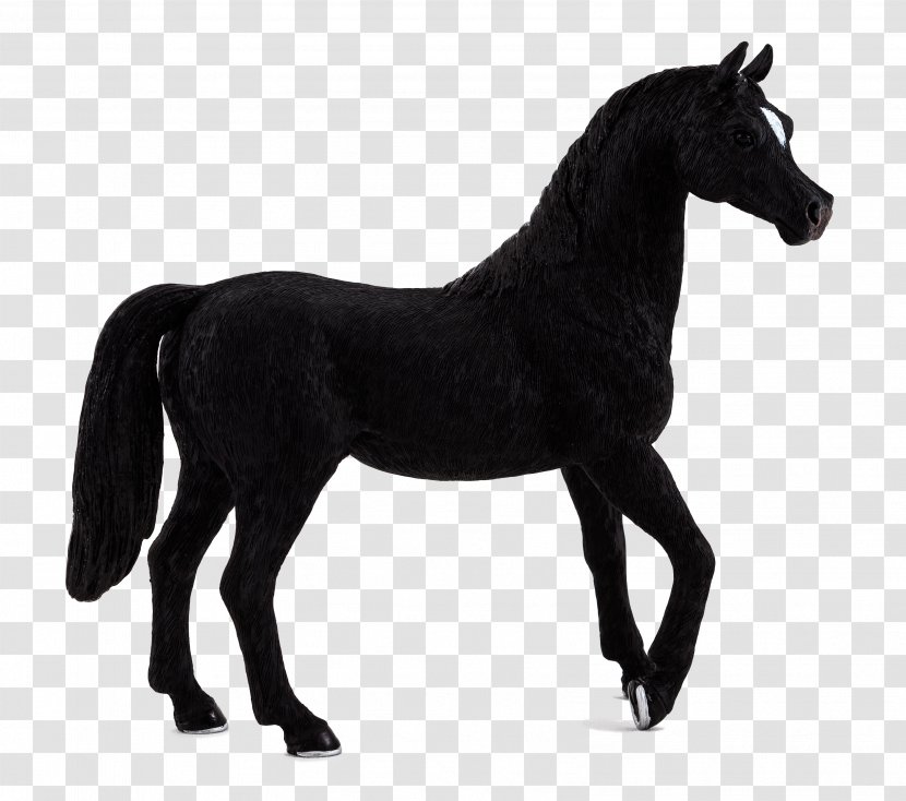 Arabian Horse Stallion Andalusian Black Thoroughbred - Chestnut - Toy Transparent PNG