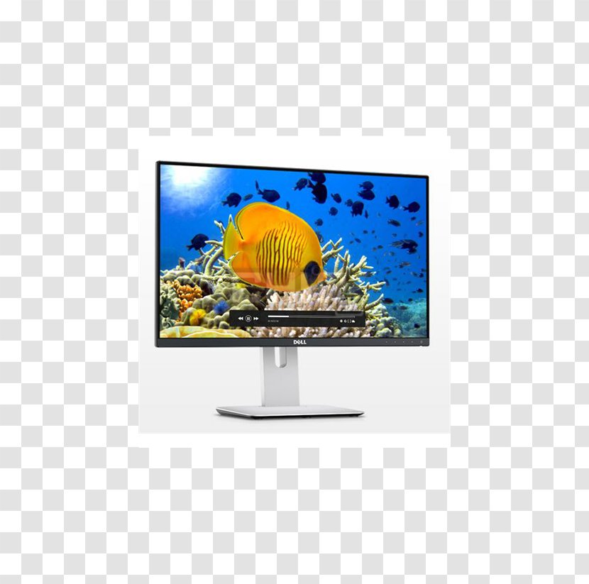 Dell UltraSharp U-14H IPS Panel Computer Monitors 1080p - Flat Display - Ultrasharp U2414h 238 Full Hd Matt Black Transparent PNG