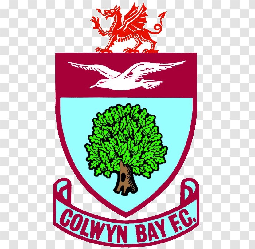 Colwyn Bay F.C. Northern Premier League Hyde United Marine - Brand Transparent PNG