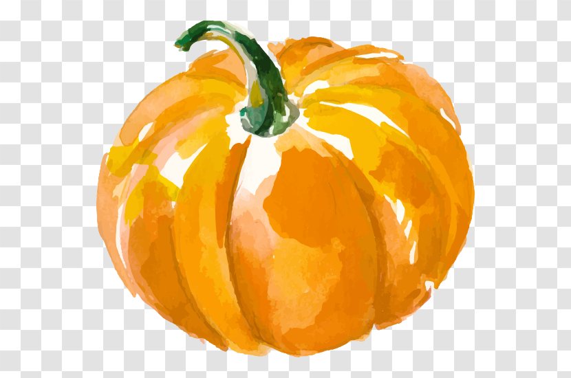 Vector Graphics Watercolor Painting Illustration Pumpkin Royalty-free Transparent PNG