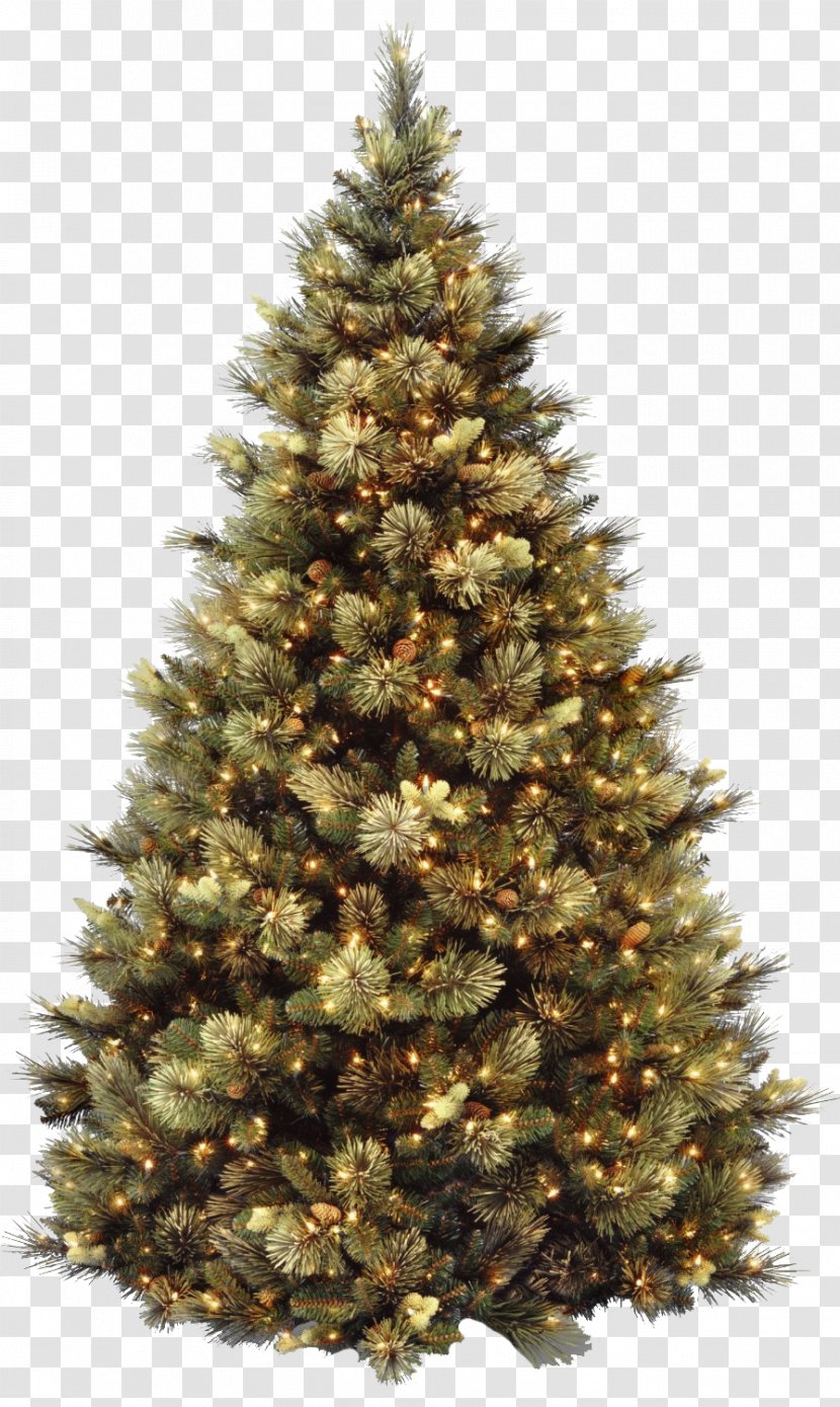 Artificial Christmas Tree Pre-lit Day - Ornament - Bota Transparent PNG