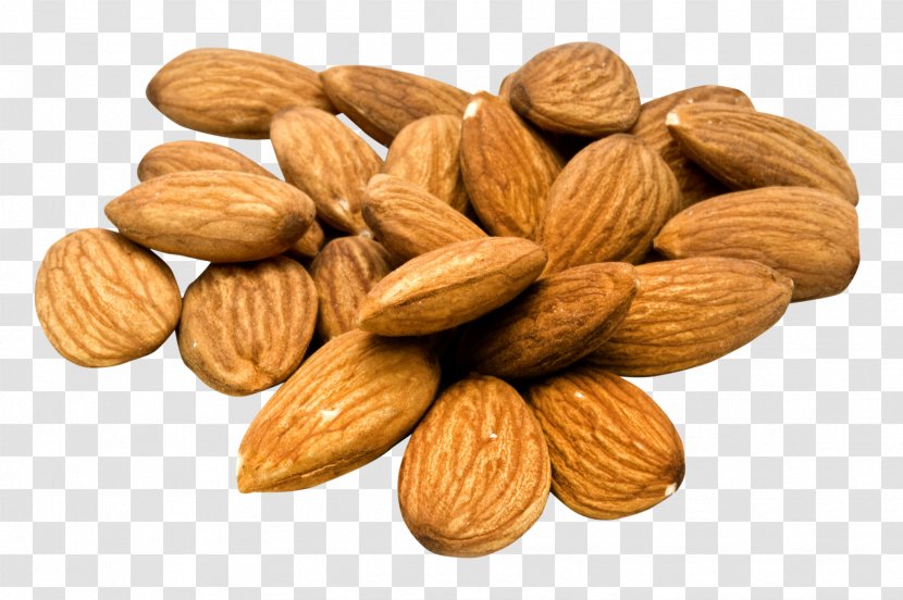 Almond Nut Apricot Kernel - Mpeg 4 Part 14 Transparent PNG