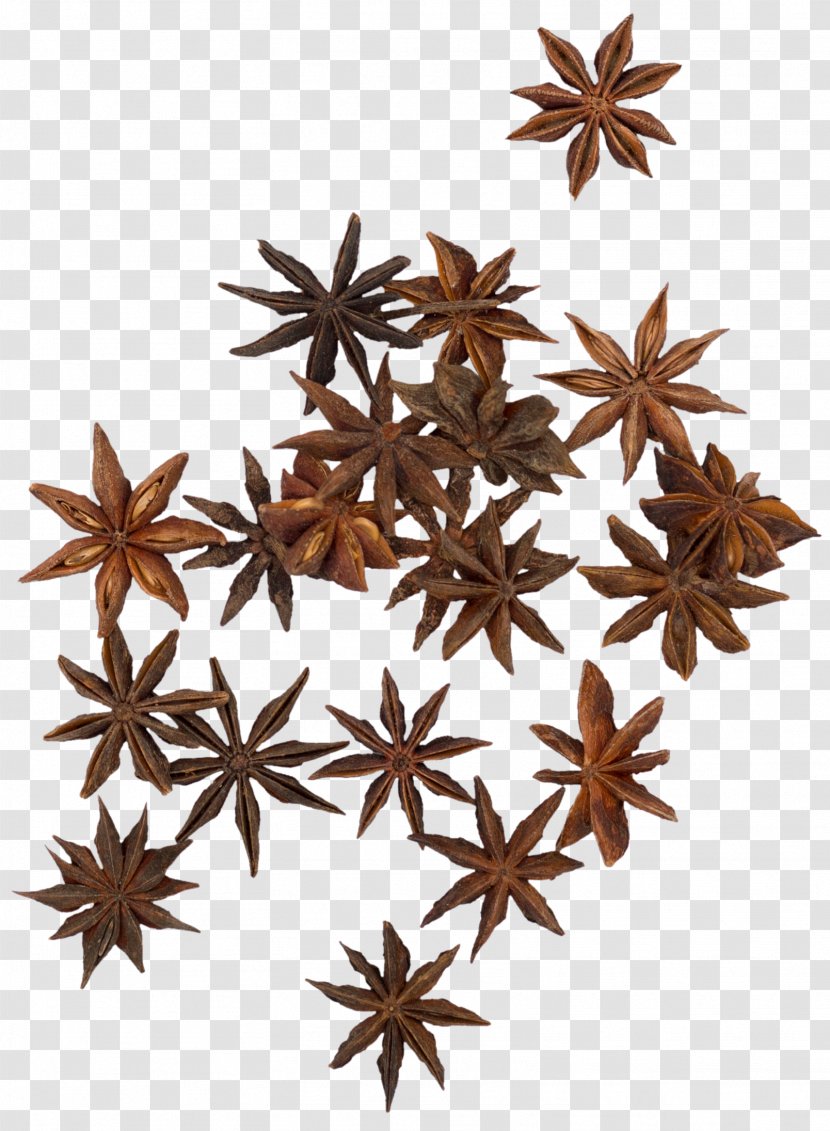 Spice Star Anise Condiment Ingredient - Brown Transparent PNG