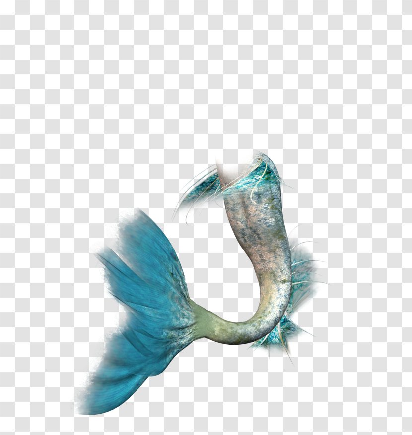 Ariel Mermaid Siren Clip Art - Feather - Hand-painted Tail Transparent PNG