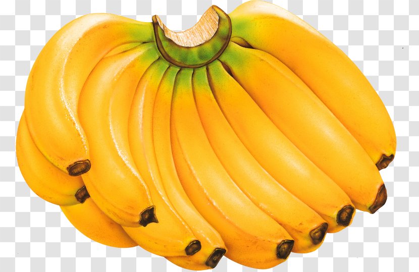 Banana Desktop Wallpaper Clip Art - Squash Transparent PNG