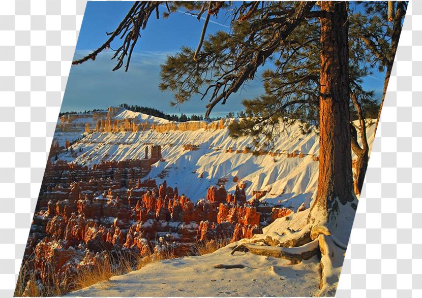 Bryce Canyon National Park State Hoodoo - Mjolnir Transparent PNG