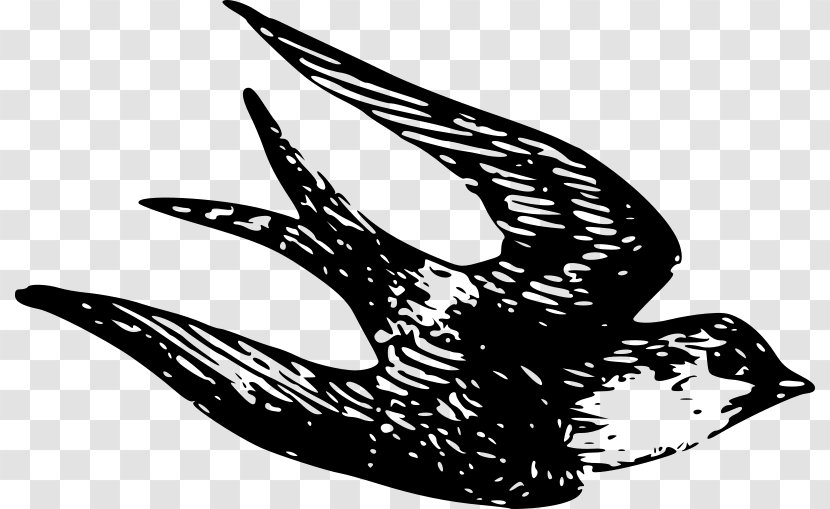 House Sparrow Bird Clip Art - Black And White Transparent PNG