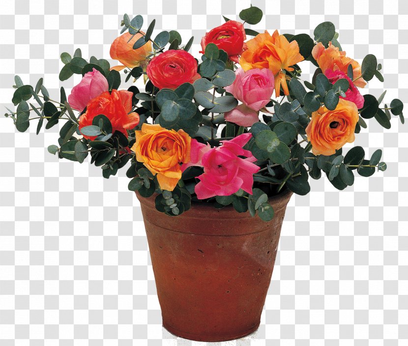 Garden Roses Cut Flowers Persian Buttercup Floral Design - Vase - Flower Transparent PNG