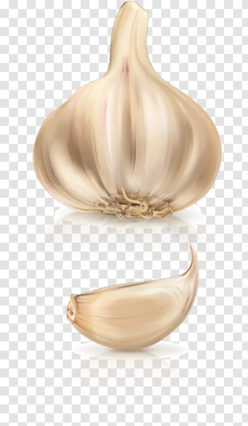 Garlic Vegetable Tomato Food Transparent PNG