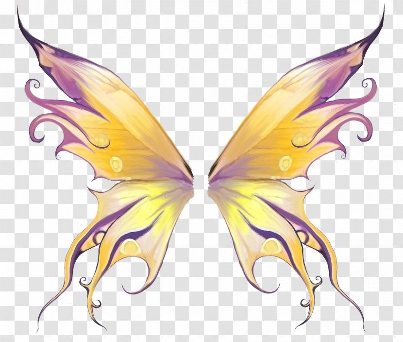Decorative Wings - Moths And Butterflies - Photography Transparent PNG